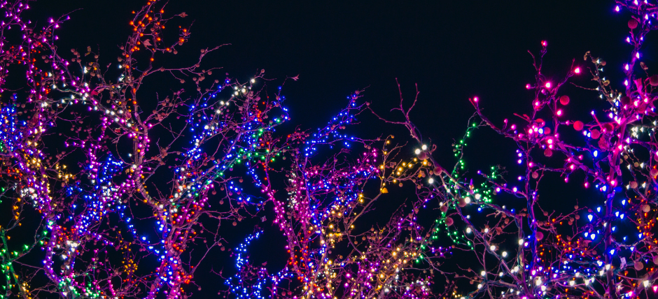 Christmas lights
